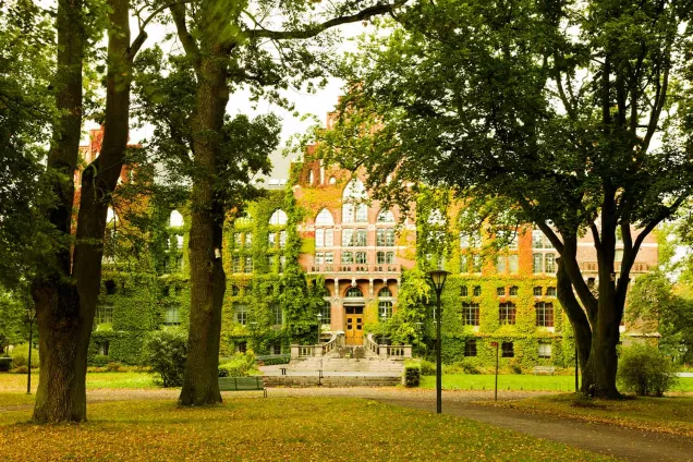 Mellan träden i UB-parken skymtar Universitetsbiblioteket. Gräsmattan är täckt av gula löv. Fotograf Ola Kjelbye.