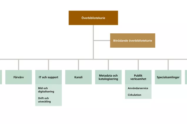 Organisation chart for Lund University Library. Illustration.