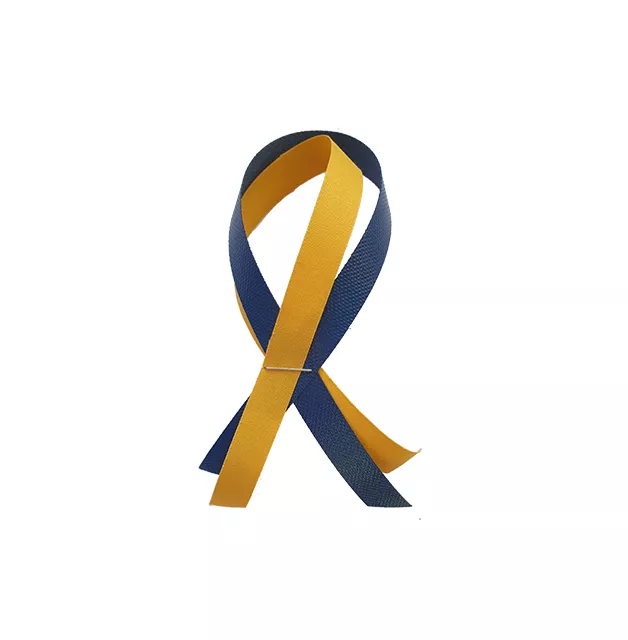 Ribbon in blue and yellow. Photographer Christel Holmberg.