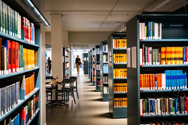 Rad efter rad med blå bokhyllor fyllda med böcker.