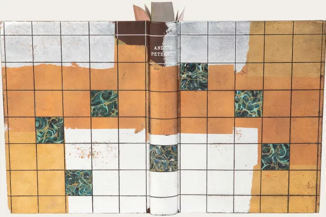 Bokomslag med olikfärgade rutor.