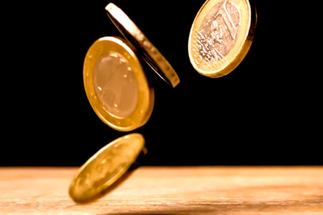 mynt euro