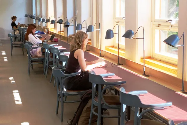 Studenter pluggar vid solbelysta bänkar under blå lampor.